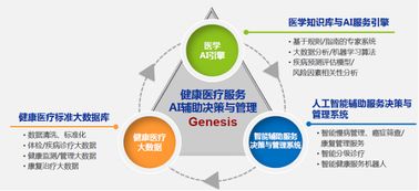 基于AI與系統(tǒng)論的醫(yī)學全流程革新 經綸世紀的數據處理服務體系