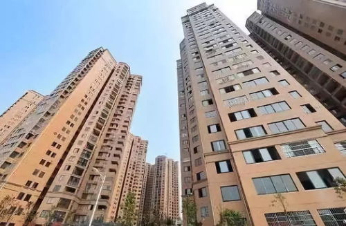租購并舉 房地產長效調控中的關鍵一環——聚焦非居住房地產租賃